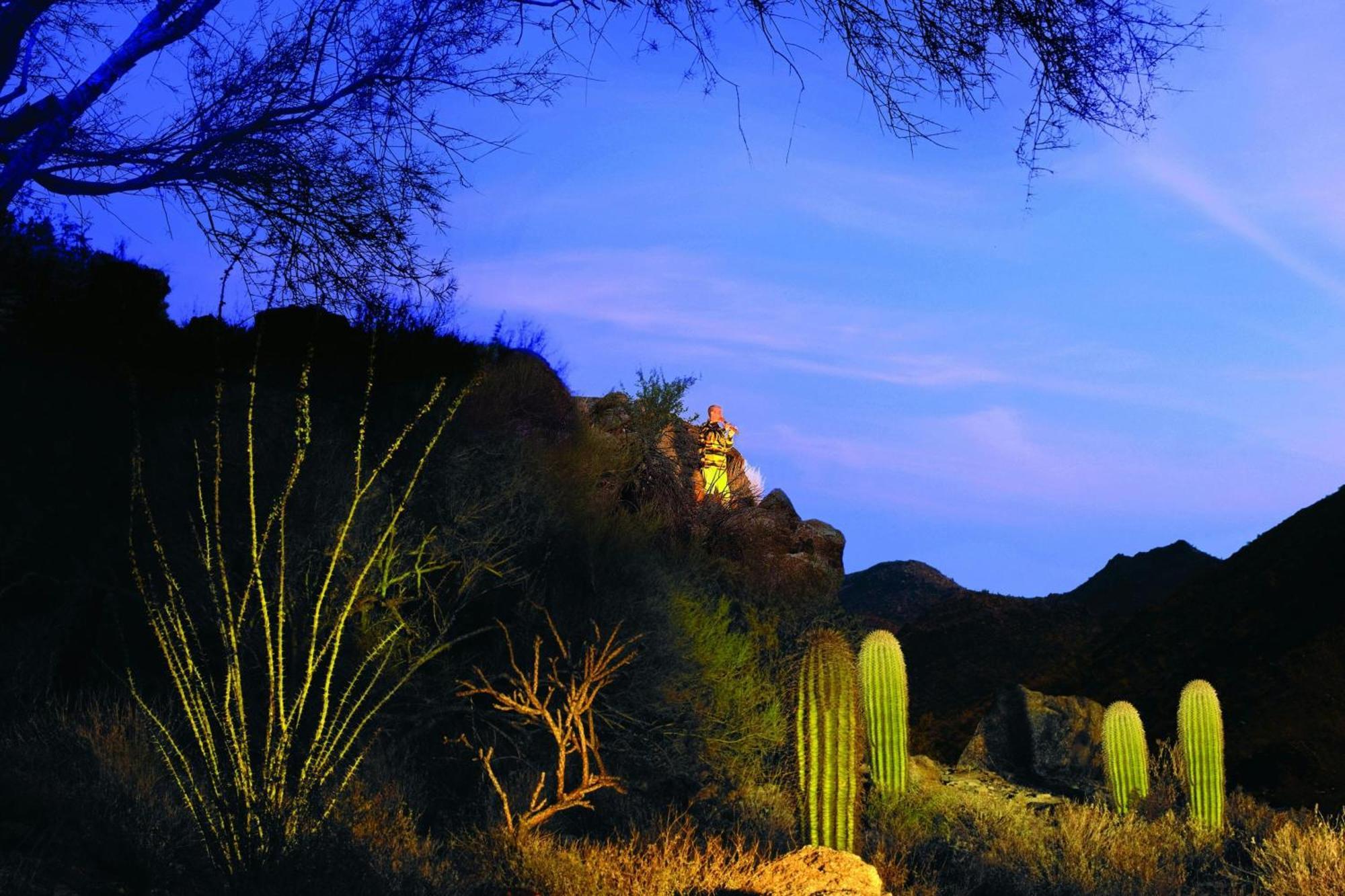 Отель The Ritz-Carlton, Dove Mountain Марана Экстерьер фото